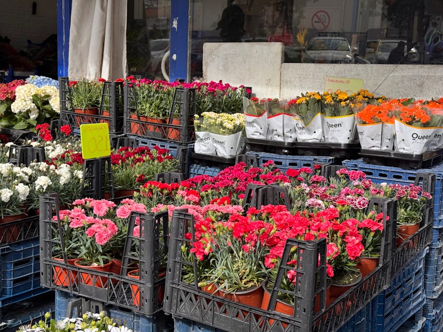 Outdoor display of various potted flowering plants, primarily carnations in shades of pink, red, white, and orange, arranged in black plastic crates with some wrapped in white paper featuring the 'Que